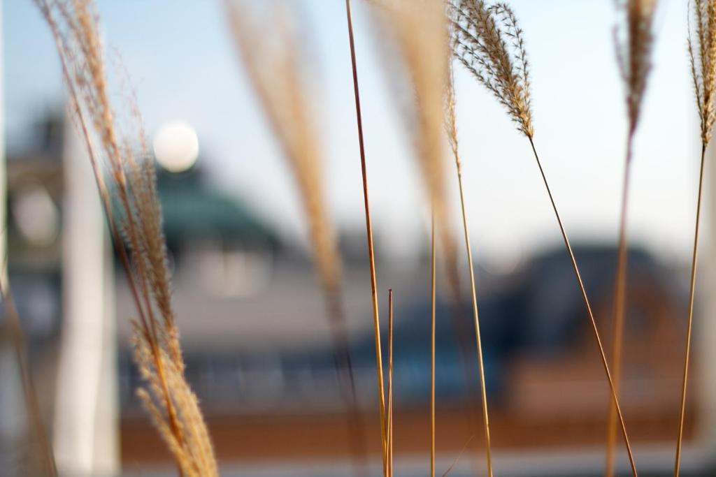 My Home In Vienna- Smart Apartments - Leopoldstadt 외부 사진